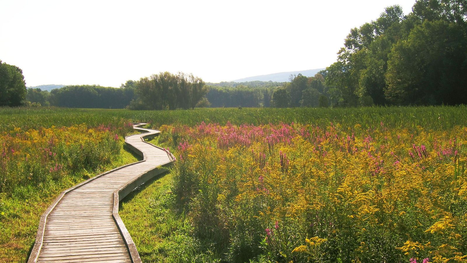 The Appalachian Trail, minutes away