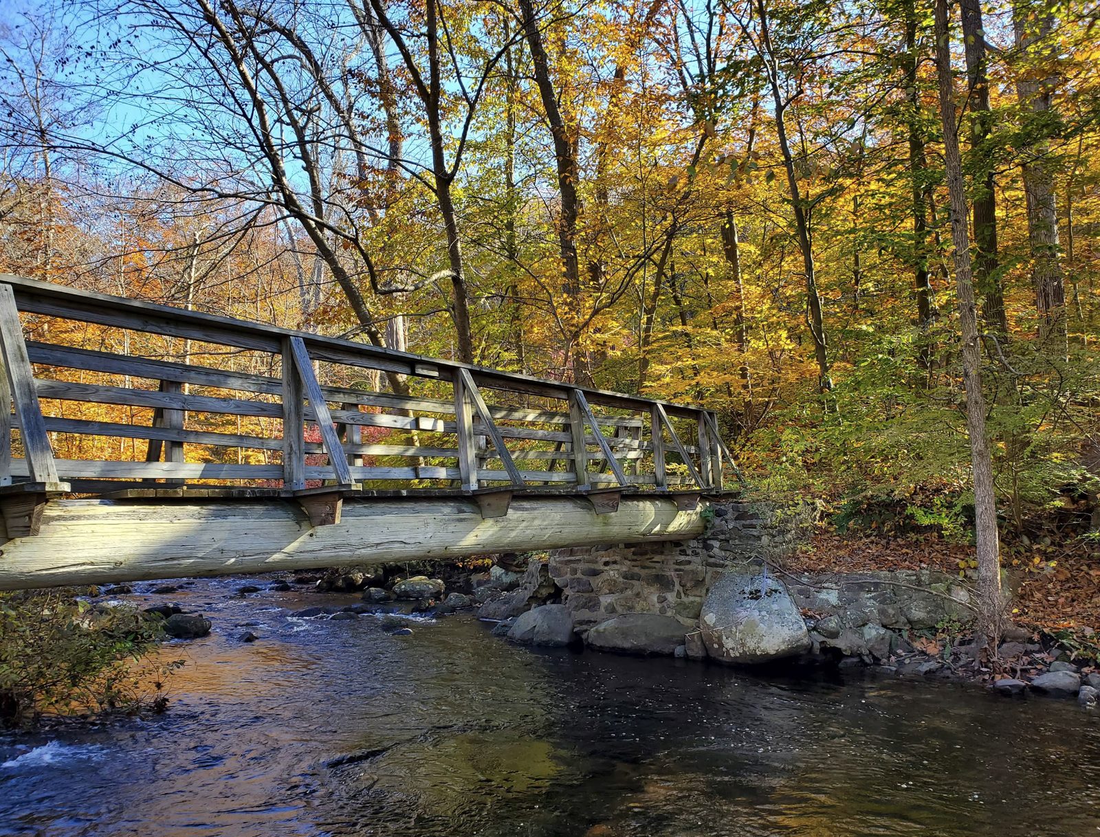 Trails & Parks